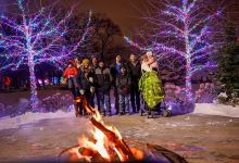 Wellfield Botanic Gardens景点图片