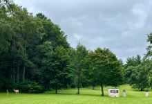 Quarry Hill Nature Center景点图片