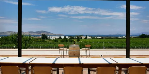Triantafyllopoulos Vineyards