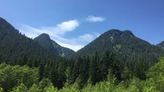 Norvan Falls