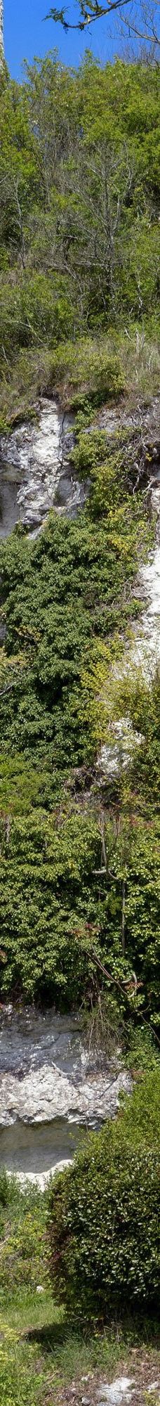 Ermitage Saint-Martial-吉伦特河畔莫尔塔涅