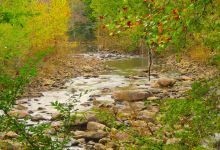 Big Soddy Creek Gulf景点图片