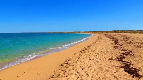 Bundegi Beach
