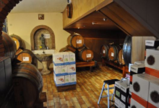 Grupo Oliveda景点图片