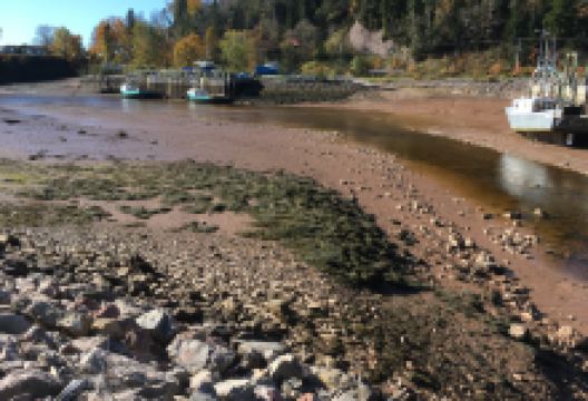 St. Martins Harbour景点图片