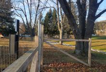 Elmers Dog Park景点图片