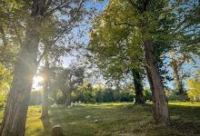 Old Baptist Cemetery景点图片