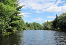 River's Edge Camping景点图片