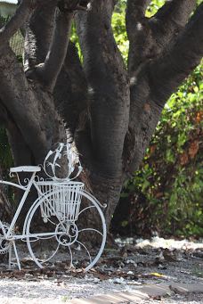 The Katherine Museum-凯瑟琳