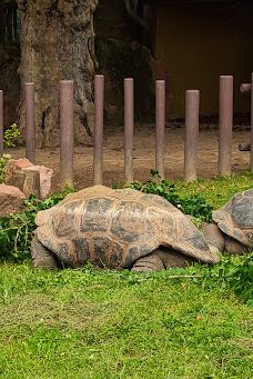 海德堡动物园-海德堡
