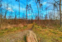 Hünenstein景点图片