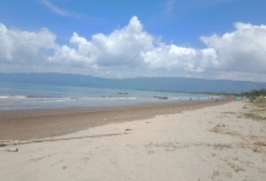 Pantai Cemara Digul景点图片