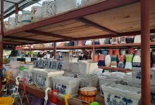 Vivero Cielo Azul购物图片
