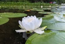 Brandy Lake Park景点图片