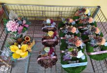 Zahradnictví Hrozek Libor购物图片