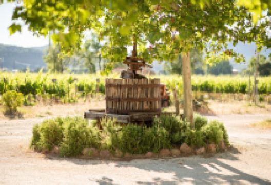 Domaine des Peirecedes景点图片