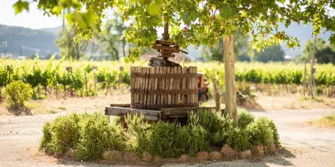 Domaine des Peirecedes