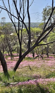 Pelham Lookout & Reserve-图吉