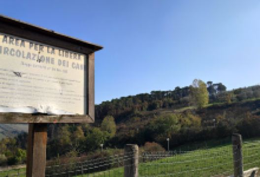 Sgambatoio per cani Parco Laiala景点图片