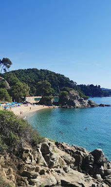 Jardí Botànic Tropical Paratge Pinya de Rosa-布拉内斯