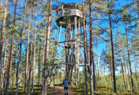 Katselmus Observation Tower景点图片