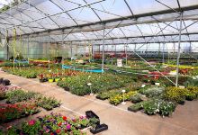 Jardin du Planty购物图片
