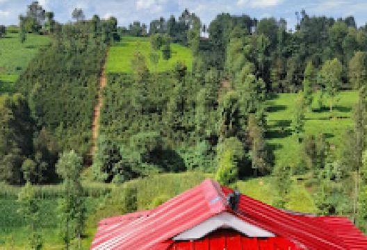 KUNGU MAITU GARDENS景点图片