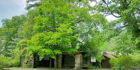 Jardin alpin La Jaÿsinia