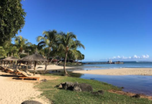 Albion Beach 2景点图片