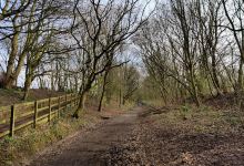 Culcheth Linear Park景点图片