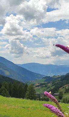 富内斯谷-博尔扎诺-上阿迪杰自治省