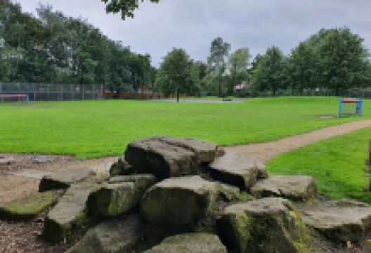 Lees Park景点图片