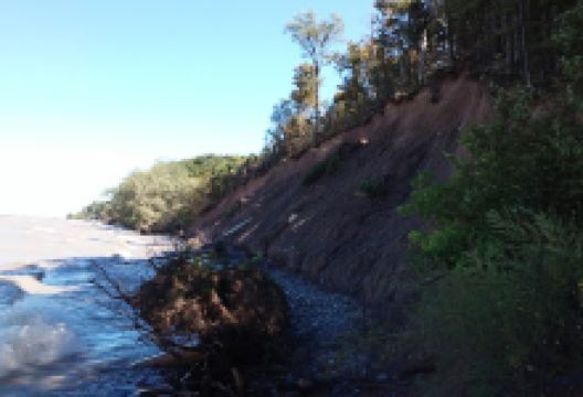 Lake Shore Marshes景点图片