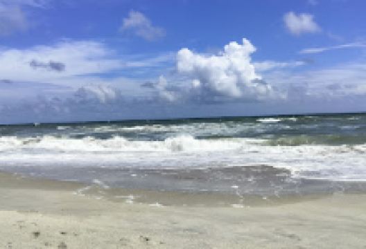 Ocean Resorts景点图片