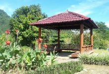 Taman Kehati PT Tirta Investama (AQUA)景点图片
