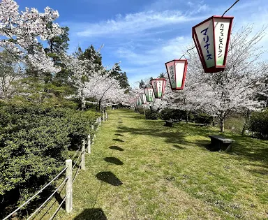 一本松公園