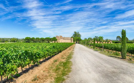 le Château de Perdiguier
