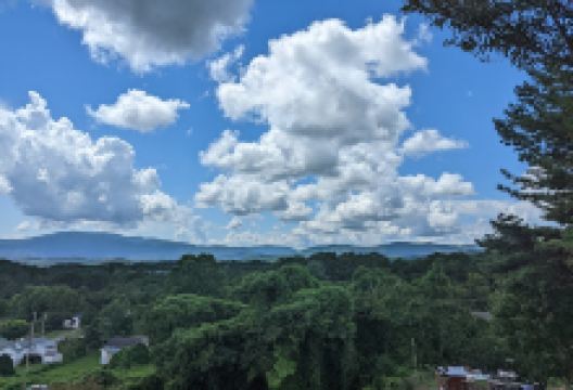 Ducktown City Park景点图片