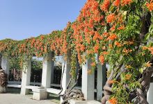 德美公园景点图片