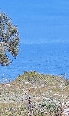 Poros Beach-Kiani Akti