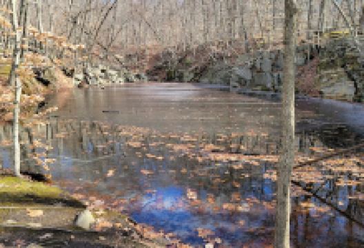 Sylvan Glen Park Preserve景点图片