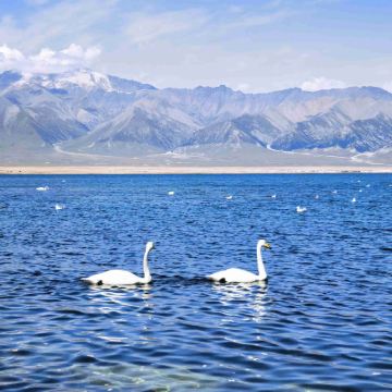 新疆乌鲁木齐+伊犁8日7晚自由行