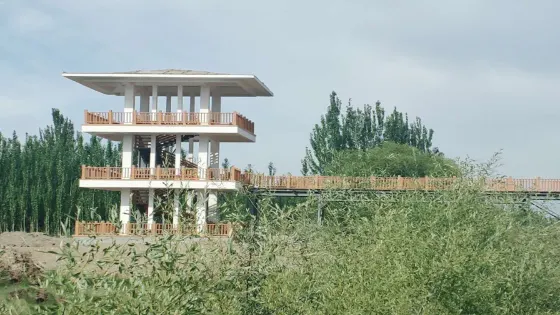 莎車縣葉爾羌國家濕地公園