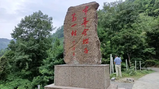 中華金櫻子第一村