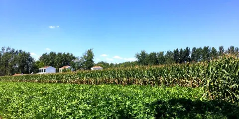 宋運河碼頭遺址