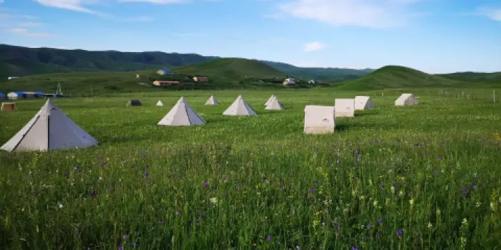 伊犁特克斯花田營火露營地
