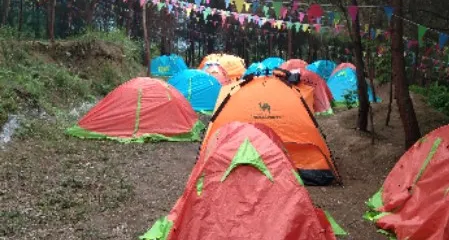 宣漢愛情島花海