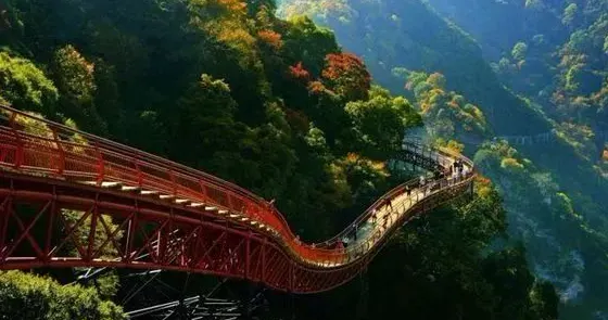 金蘭花谷玻璃棧道