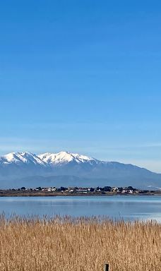 Mar Estang - Camping Siblu-卡内普拉日