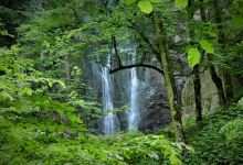 Tila Kenar Forest景点图片